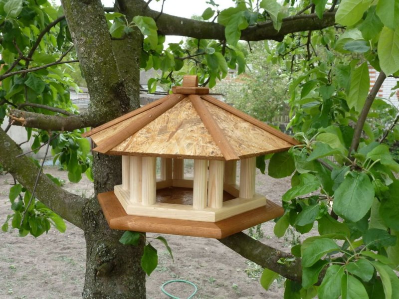 Самые оригинальные кормушки для птиц
