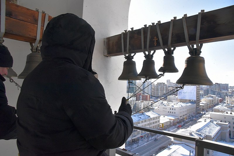 Гологорлый бананоед