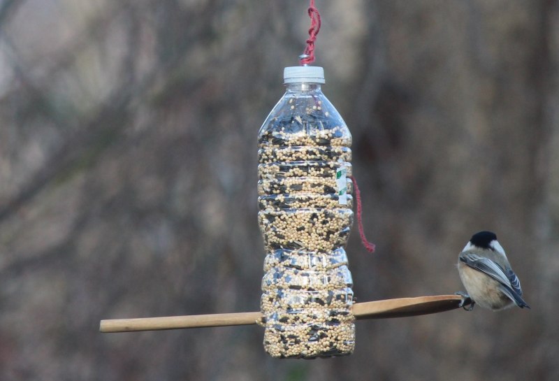 Кормушек для птиц из пластиковых бутылок своими (86 фото)
