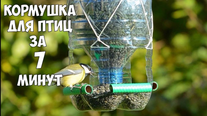 Кормушка из пластиковой бутылки