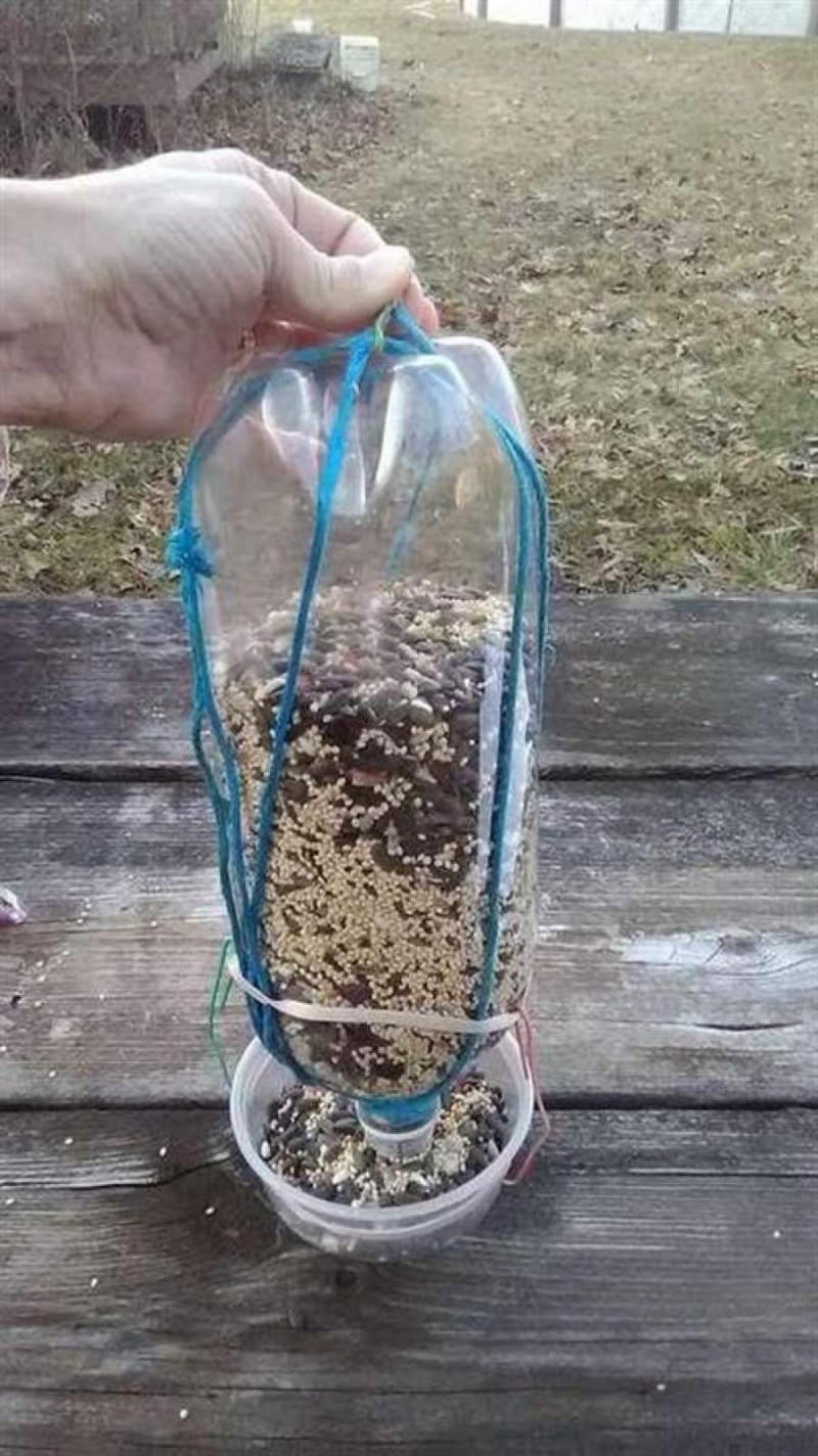 Кормушка для синиц из бутылки