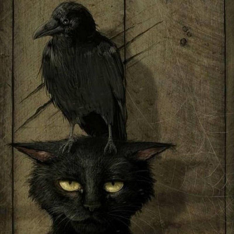 Гнездо для кошки