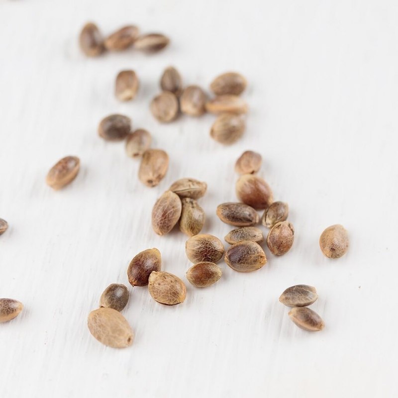 Armalla Hemp Seed