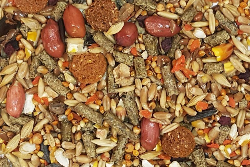Luheng Seeds семена