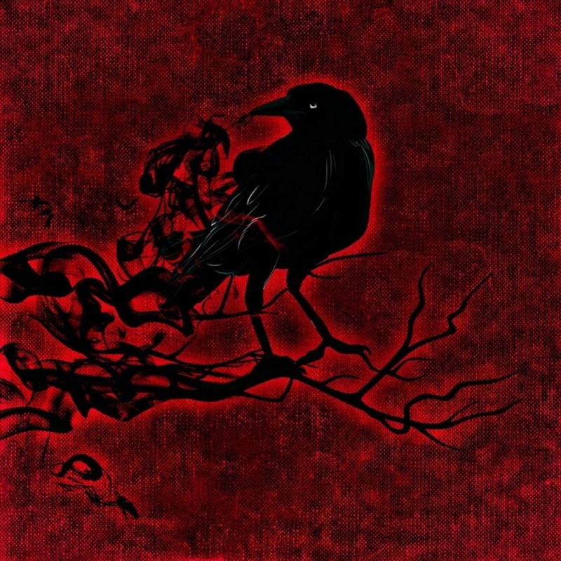 Avian dissuader