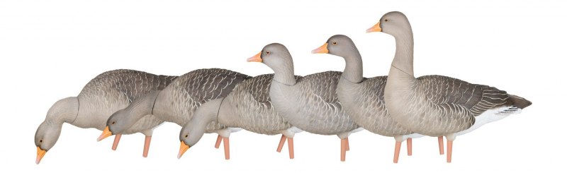 Чучела гусей avian-x