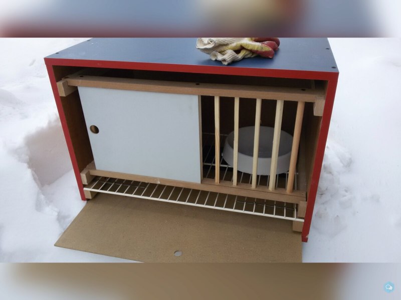 Голубь из клетки