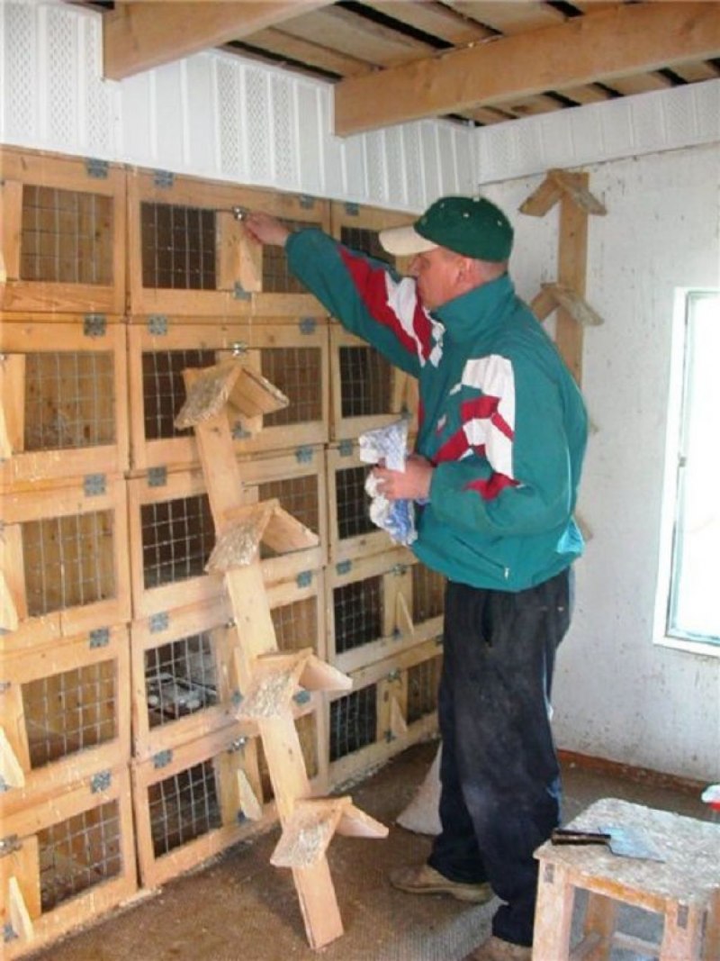 Клетка для попугая жако