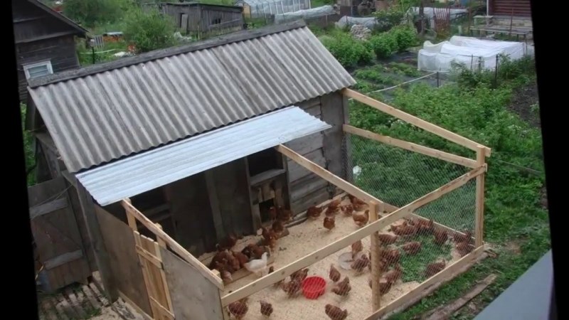 Курятник для 20 кур несушек