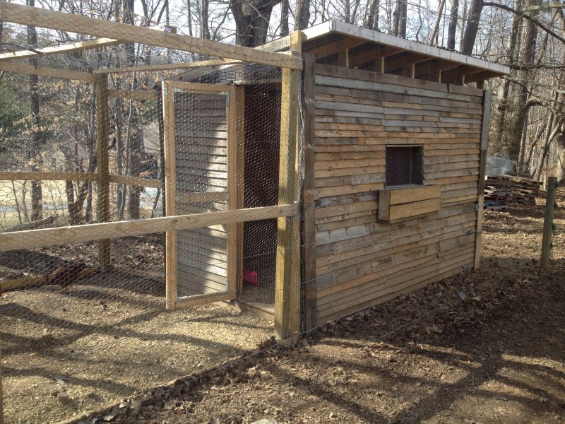 Курятник сарай 5*3