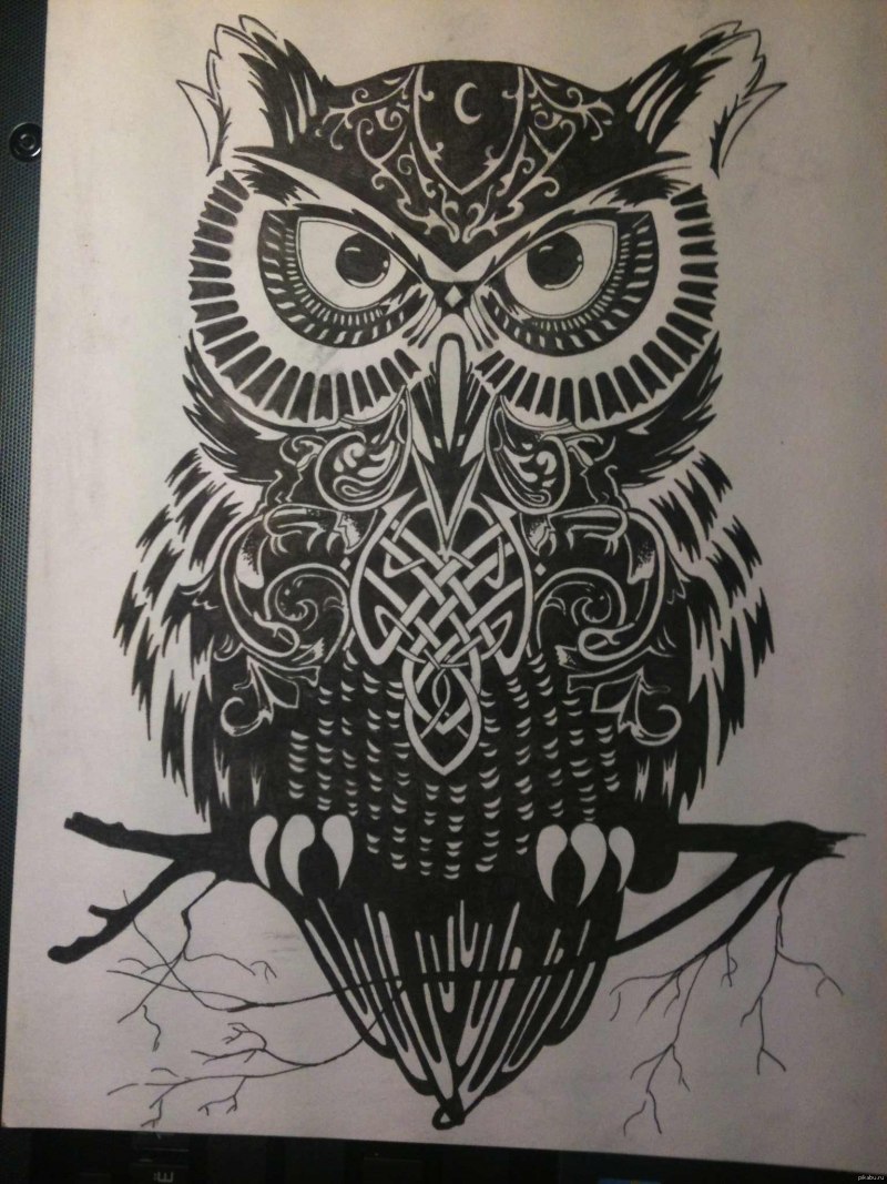 Рисунок Филина карандашом