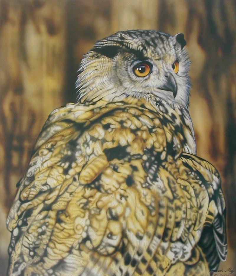 Картина с совами 40*40