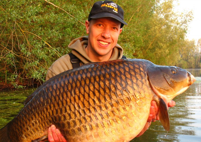 Карп (Cyprinus Carpio)