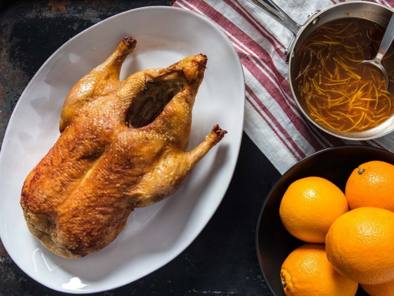 Orange Duck