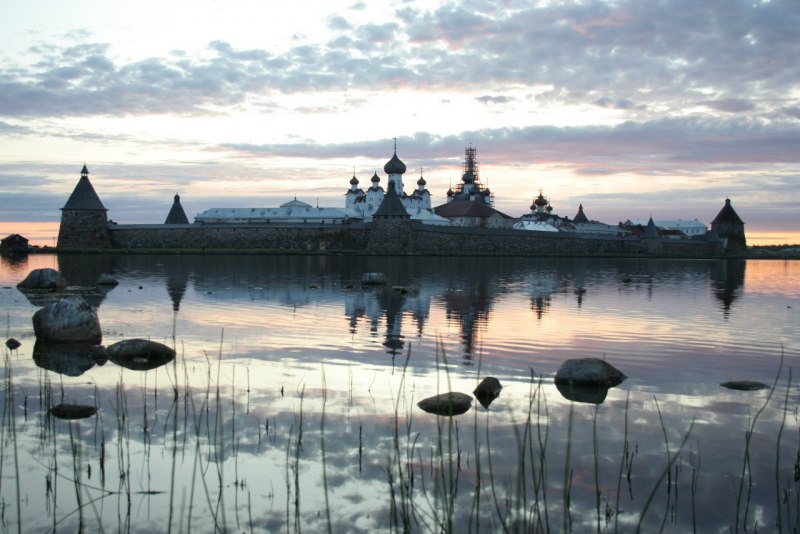 Кулик чернозобик