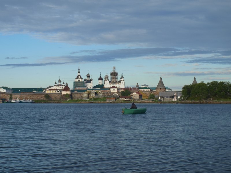 Лавра голуби