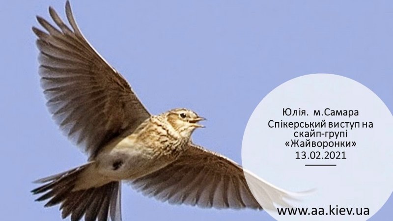 Воробей на поле