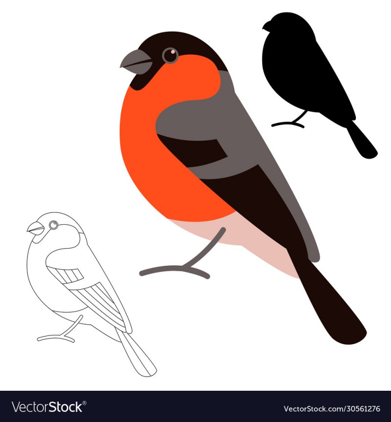 Снегирь Orange