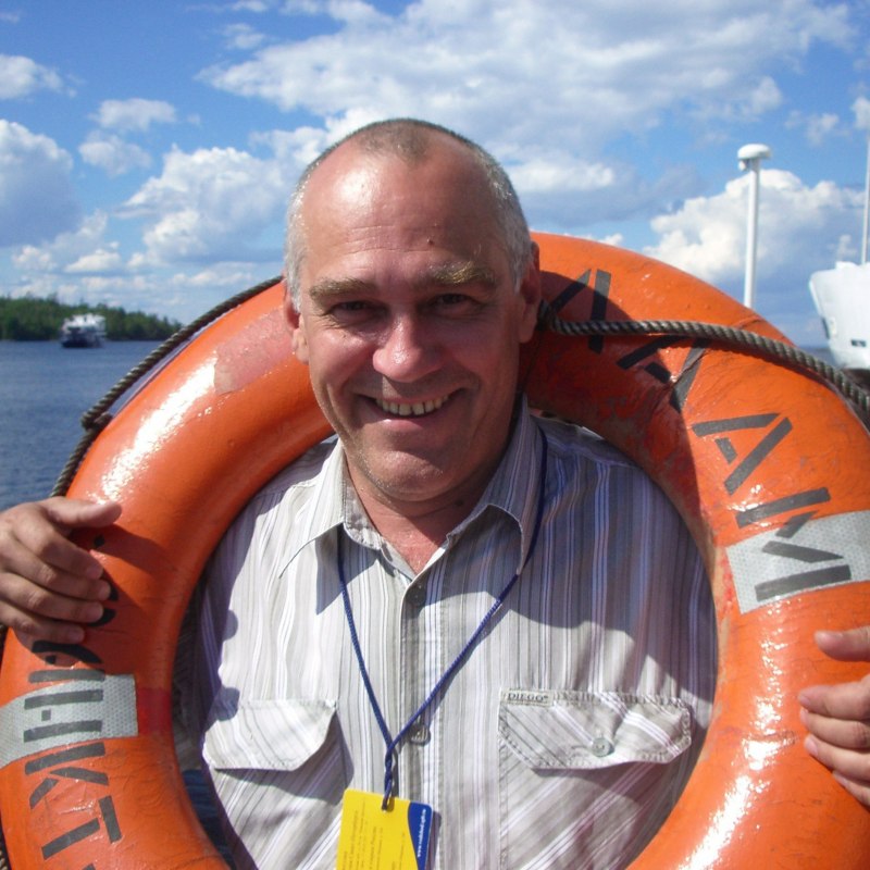 Чайка крачка