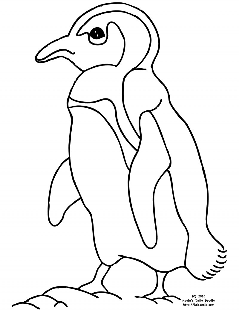 Игра Нарисуй пингвина: раскраски для детей онлайн