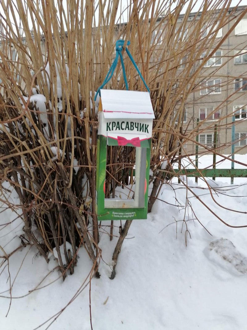 Птицы зимой Севастополь кормушка