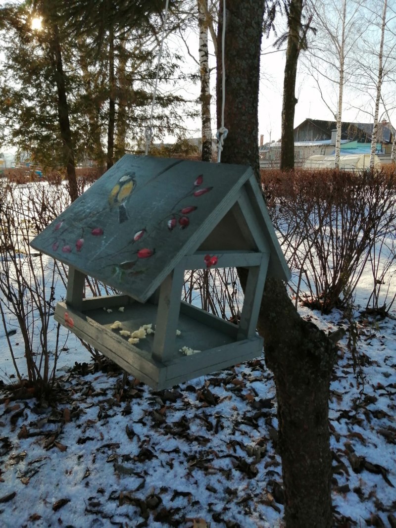 Кормушки в городе