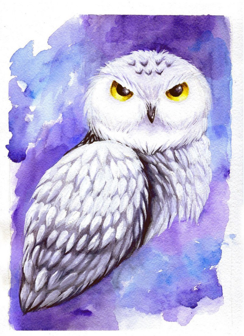 Кот Баюн Совиный лес