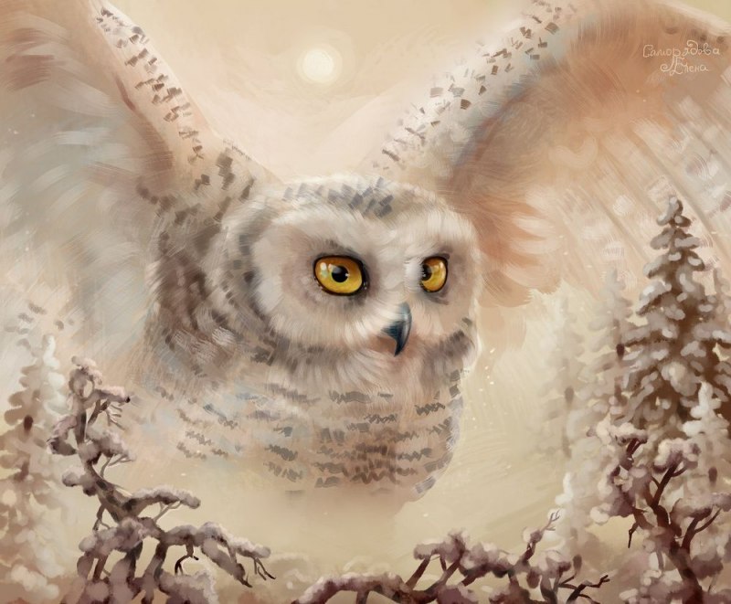 Рисунок Филина из красной книги