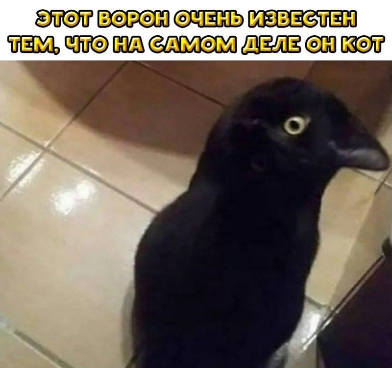 Галка Мишенева