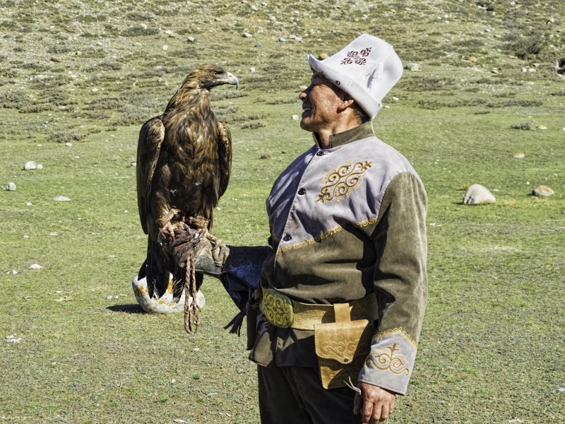 Беркут на руке