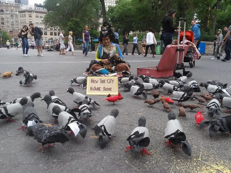 8 Голубей