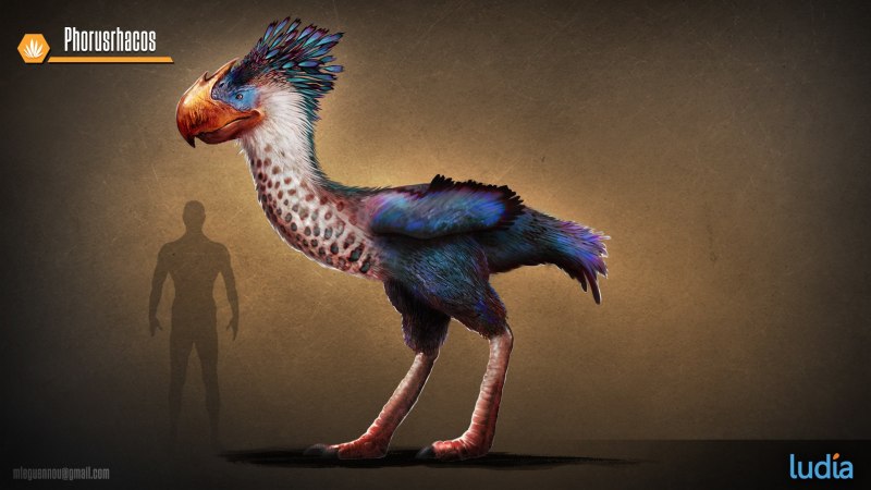 Phorusrhacos longissimus