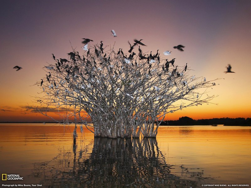 Бразилия National Geographic