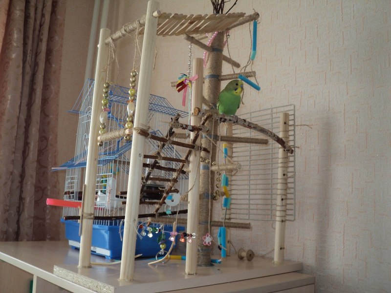 Игровая площадка для волнистого попугая
