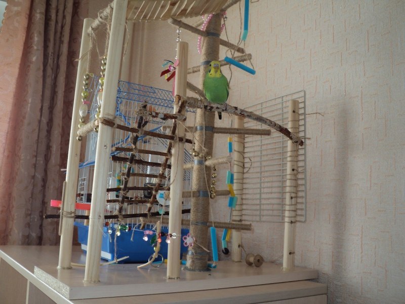 Игровая площадка для попугая
