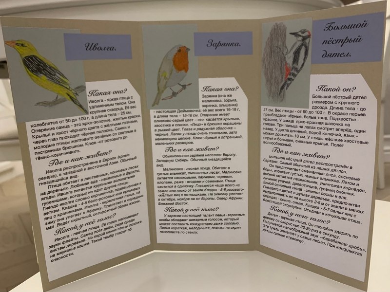 Листовка Покормите птиц