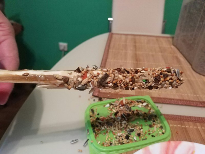 КОПОШИЛКА для попугаев корелла