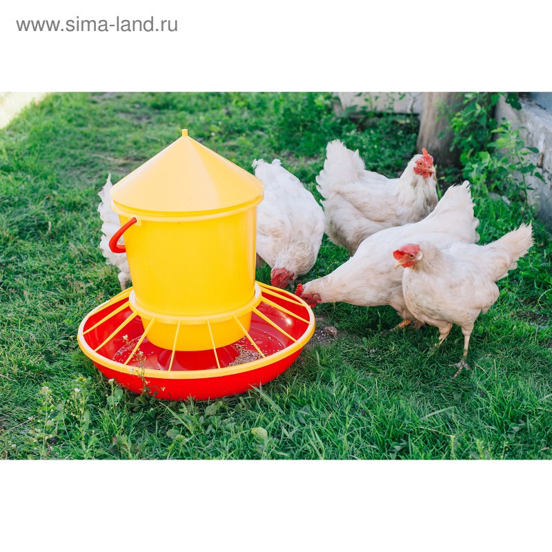 Кормушка бункерная для домашней птицы на 12 кг