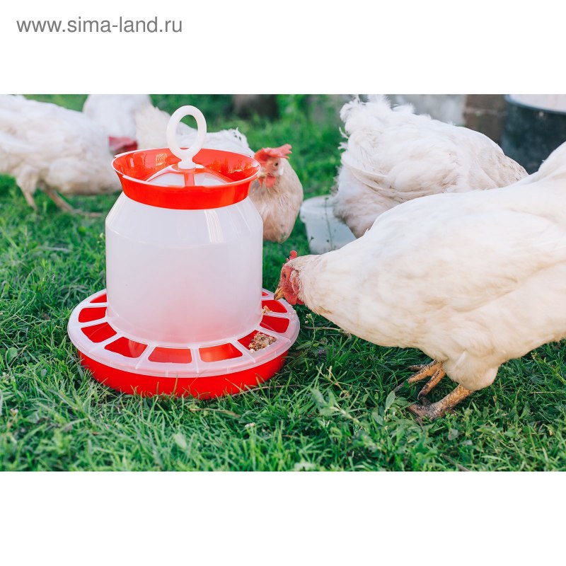 Кормушка бункерная для домашней птицы на 12 кг