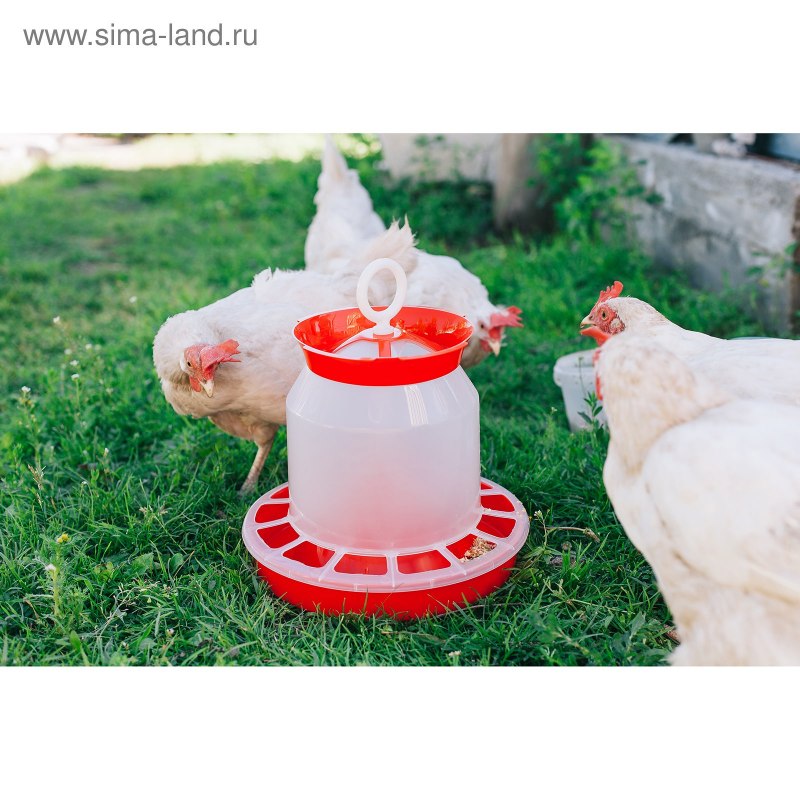 Кормушка для домашней птицы бункерная 2кг (d 220мм, h 175м)