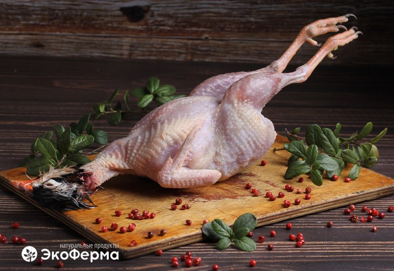 Разноцветные куропатки маленькие цыплята