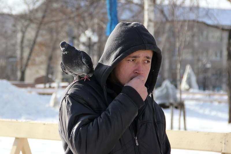 Мужчина с голубем