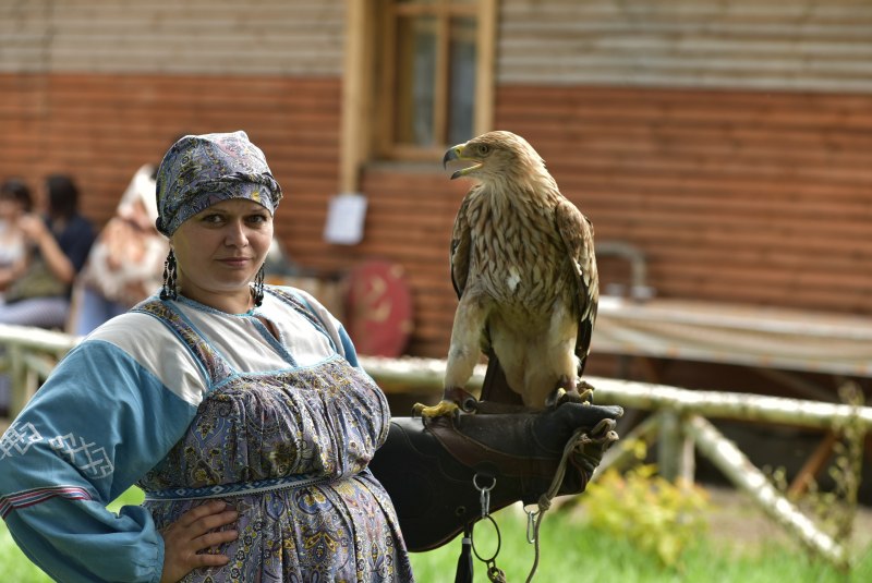 Воробей за окном