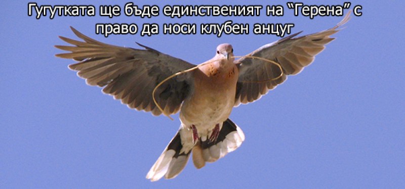 Dove-2
