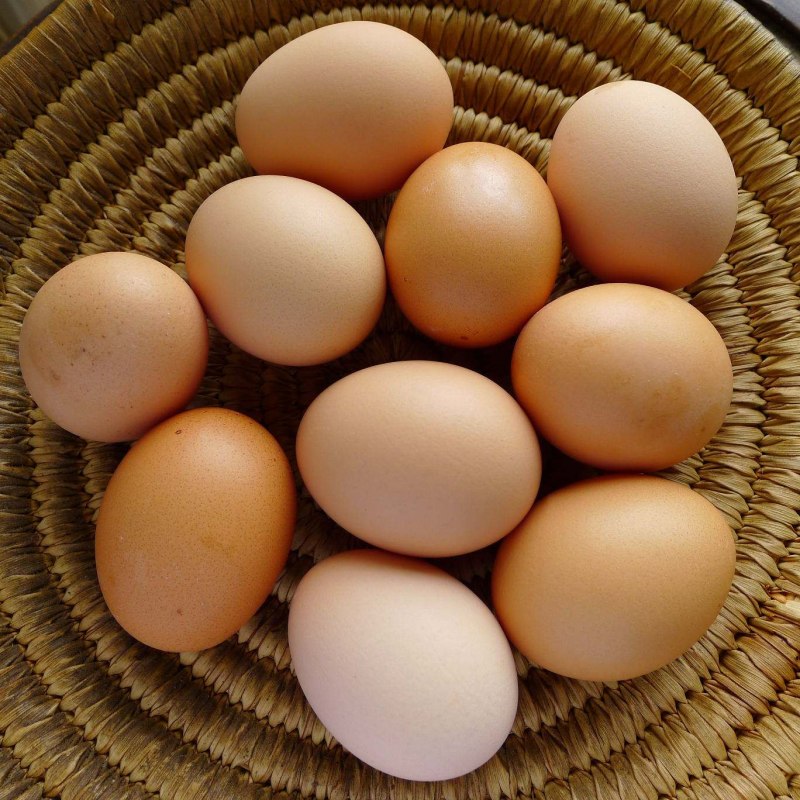 Яйца куриные Деревенские