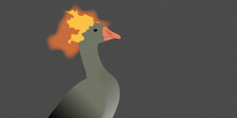 Птицы горный Гусь и Пингвин