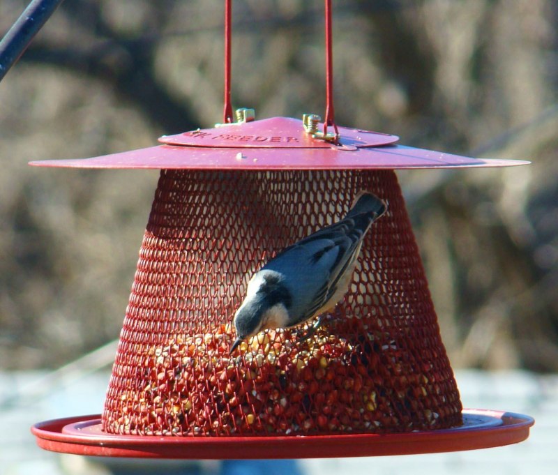 Кормушка для птиц Bird Feeder tube,