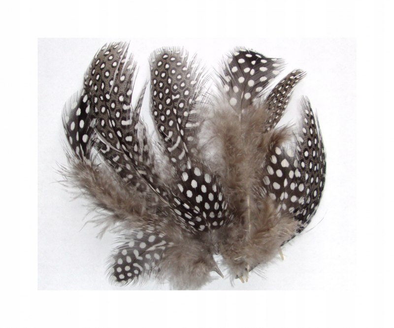 Перья цесарки Guinea Hackle