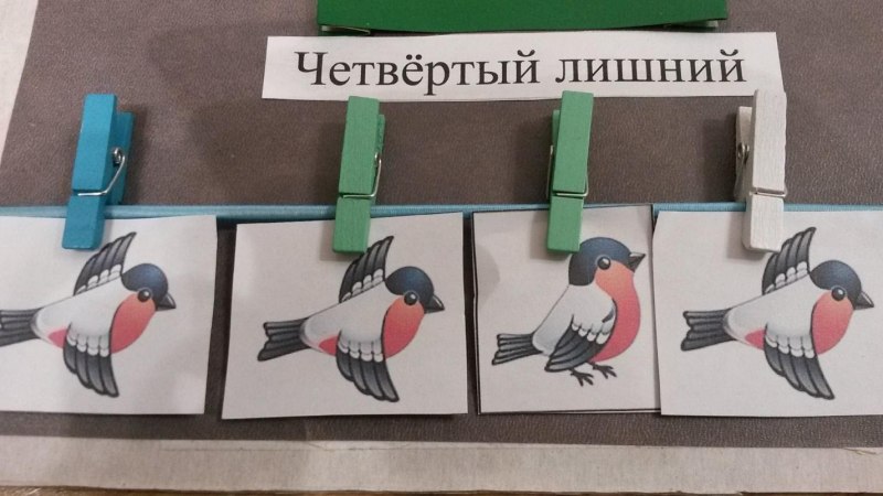 Лэпбук зимующие птицы
