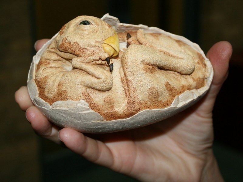 Учёные из ДНК курицы создали эмбрион тиранозавра